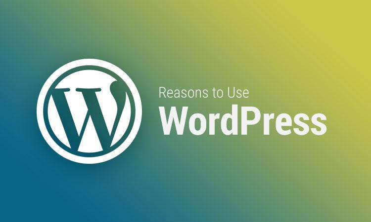 Reasons to Use WordPress