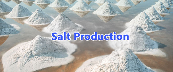 salt production in gujarat