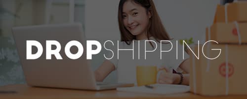 online dropshipping business