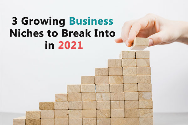 3 Growing Business Niches to Break Into in 2021