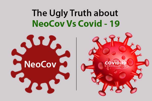 NeoCov Vs Covid