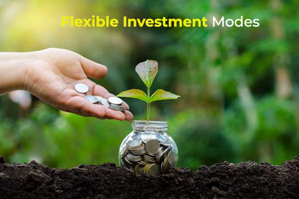 Flexible Investment Modes